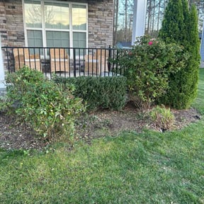 Bush Trimming by Mauler Mowing LLC reviewed on April 13, 2023