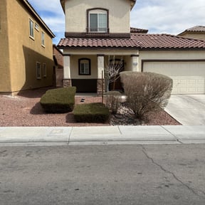 Bush Trimming by MNS Services reviewed on July 2, 2025