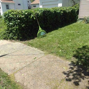 Bush Trimming by Cuttas Landscaping & Lawn Services reviewed on June 6, 2022