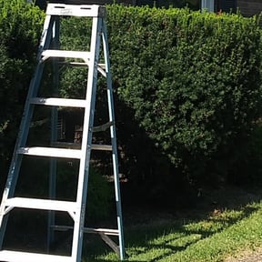 Bush Trimming by Lightening Kutz reviewed on April 26, 2025