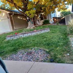 Leaf Removal by KJ & Co reviewed on November 22, 2024