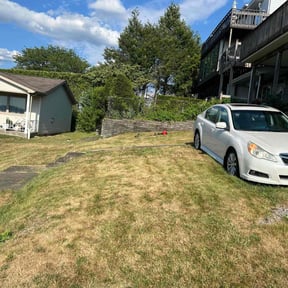 Cleanups by J&amp;M Mowing reviewed on May 15, 2025