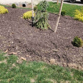Flower Bed Weeding by Pinpoint Services reviewed on May 26, 2022