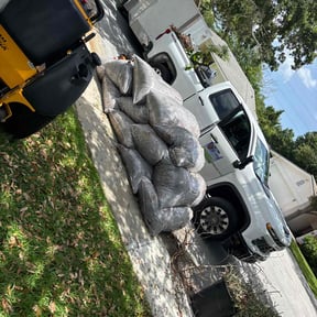 Leaf Removal by TruGreen LawnCare reviewed on June 4, 2025