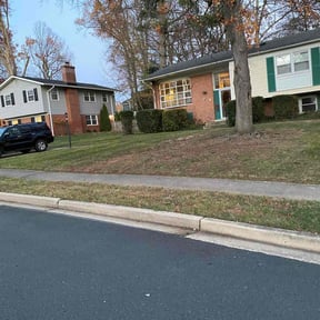 Leaf Removal by Terry Ziolkowski reviewed on April 14, 2022