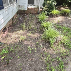 Leaf Removal by Guerrero's Lawn Service reviewed on May 17, 2022