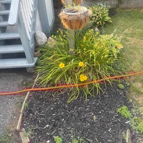 Flower Bed Weeding by D&G Lawn Care reviewed on July 6, 2022