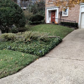 Bush Trimming by 2 Brothers Lawn Mowing reviewed on July 18, 2022