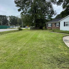 Cleanups by Grass Care By the Beach reviewed on September 22, 2024