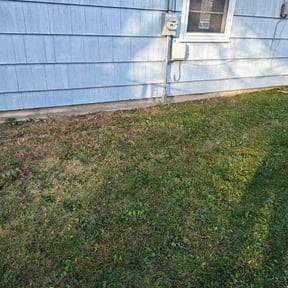 Leaf Removal by Jays Lawns reviewed on May 30, 2025