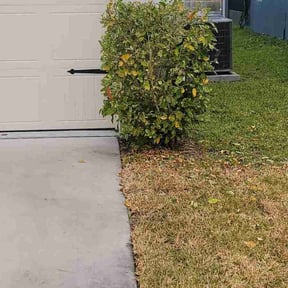 Bush Trimming by WhaleyScapes lawn services reviewed on October 28, 2020