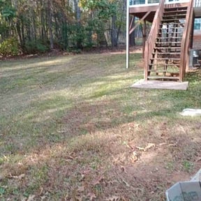 Leaf Removal by BJ's & Family Lawncare reviewed on May 28, 2025