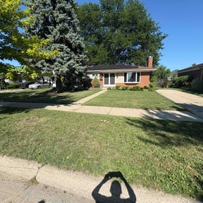 Cleanups by Elite Lawn Care reviewed on June 27, 2022