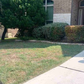 Bush Trimming by R &amp;M landscaping. reviewed on March 12, 2025