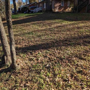 Leaf Removal by Stream Scene Landscaping reviewed on July 22, 2025