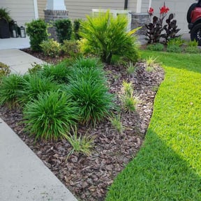 Flower Bed Weeding by Onemanoneland reviewed on November 26, 2021