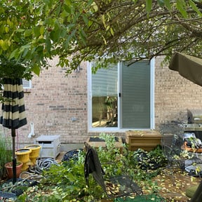 Bush Trimming by Kevin Rodgers reviewed on April 29, 2022