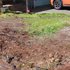Flower Bed Weeding by Elston Lawn Care reviewed on November 16, 2023