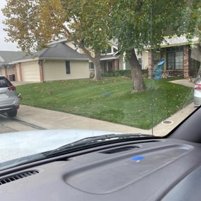 Leaf Removal by Tommy T's Quick Qlips reviewed on May 19, 2025