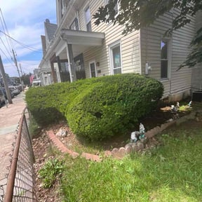Bush Trimming by Boog's Renovations LLC reviewed on April 28, 2025