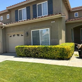 Bush Trimming by Cleancut Landscaping reviewed on July 19, 2022