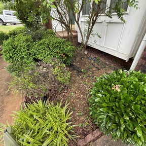 Flower Bed Weeding by FPS reviewed on June 14, 2022