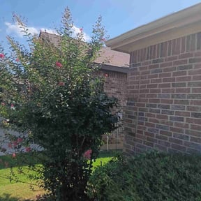 Bush Trimming by Ramirez Landscaping reviewed on December 13, 2024
