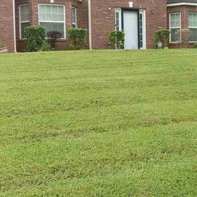 Bush Trimming by T&amp;L Landscaping reviewed on August 2, 2024