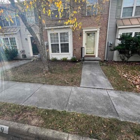 Leaf Removal by Kiki's lawn care reviewed on July 11, 2022