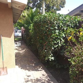Leaf Removal by Walsh Landscape - Irrigation reviewed on June 4, 2022