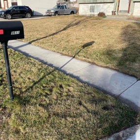 Leaf Removal by Grasman LLC reviewed on November 13, 2021