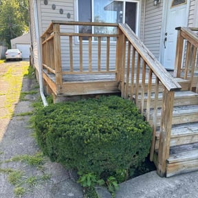 Bush Trimming by County Line Services reviewed on July 28, 2022