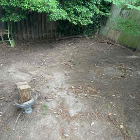 Leaf Removal by Type A Lawn Guy reviewed on July 16, 2025