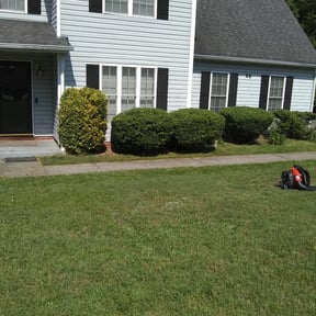 Bush Trimming by Household Maintenance & Lawn Care Services reviewed on December 14, 2024