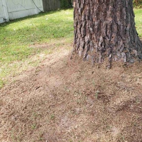 Cleanups by Jays 3 The Hard Way reviewed on May 17, 2022