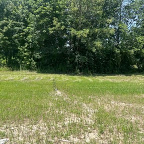 Cleanups by Family Lawn Care reviewed on August 11, 2025