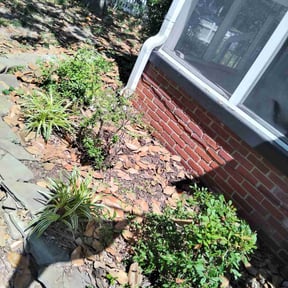 Bush Trimming by A Helping Hand Services LLC reviewed on April 28, 2025