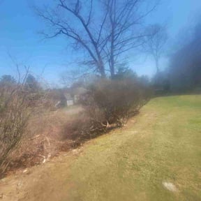 Bush Trimming by Torres Lawn Care reviewed on June 10, 2022