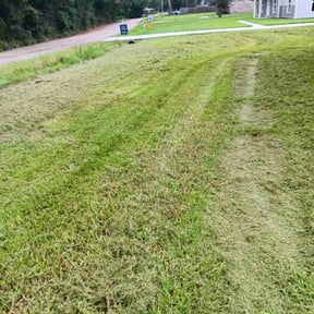Landscaping by Kenny’s Lawn Care LLC reviewed on March 24, 2025