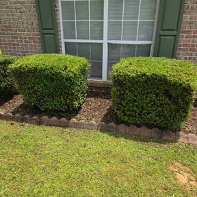 Bush Trimming by LEGENDARY LAWNCARE AND POWER WASHING reviewed on October 9, 2021