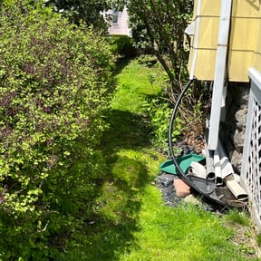 Leaf Removal by Local Green Lawn Care LLC reviewed on July 1, 2022