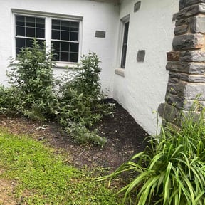 Cleanups by Sunny Sky's lawn care reviewed on May 13, 2022