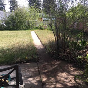 Cleanups by Dee Jays lawn service reviewed on August 8, 2022