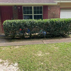 Bush Trimming by Ride In Shine Out reviewed on December 13, 2024