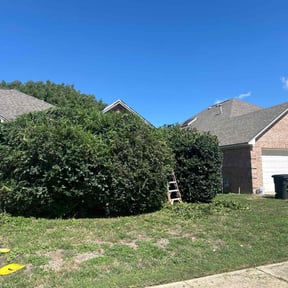 Bush Trimming by RTH Lawn Service & Landscaping LLC reviewed on April 13, 2022