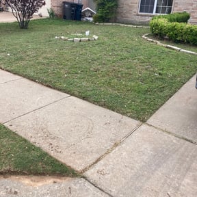 Cleanups by Mowing works reviewed on May 9, 2025