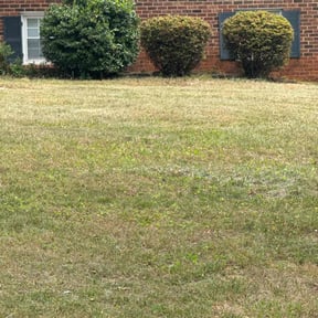 Bush Trimming by A&A Landscaping reviewed on October 9, 2022