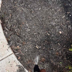 Flower Bed Weeding by Bear Care Lawncare reviewed on July 24, 2022