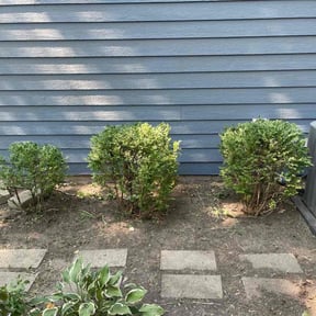 Leaf Removal by Stand lawn care Services reviewed on April 28, 2025