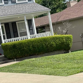 Bush Trimming by JA Performance Outdoor Services reviewed on April 14, 2025